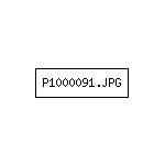 P1000091.JPG